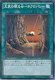 遊戯王OCG 王家の眠る谷 ネクロバレー パラレル仕様 20AP-JP022-P 遊☆戯☆王ARC-V [20th ANNIVERSARY PACK 1st WAVE]