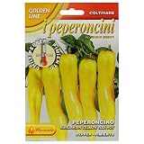 野菜の種 ペッパー Hungarian yellow 97/119