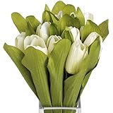 (ヒル・インテリアズ) Hill Interiors チューリップ 造花ブーケ 花束 アーティフィシャルフラワーバンチ イミテーションフラワー (ワンサイズ) (クリーム/グリーン)