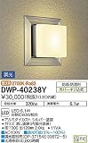 DWP-40238Y 大光電機 玄関灯 角タイプ