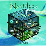 ノクティルカ(初回限定盤)(DVD付)
