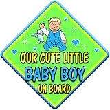 OUR CUTE LITTLE BABY BOY ON BOARD (like baby on board sign) Non Personalised novelty baby on board c