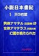 小説日本書紀　５　天の岩屋 　男神アマテル天照神は女神アマテラス天照大神に置き換えられた