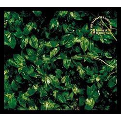 Amazon.co.jp: ココロに花を - エレファントカシマシ: ミュージック