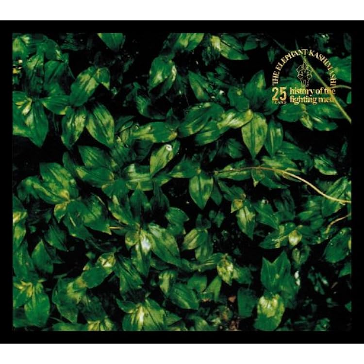 Amazon.co.jp: ココロに花を - エレファントカシマシ (特典なし