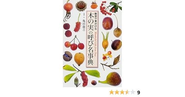 木の実の呼び名事典 散歩で見かける 亀田 龍吉 本 通販 Amazon
