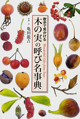 木の実の呼び名事典 (散歩で見かける)