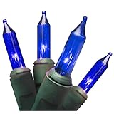 Brite Star 100 Count Professional Series Lights with Green Wire, Mini, Blue [並行輸入品]