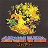 Blows Against Empire