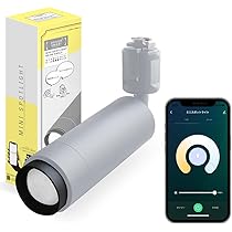 値下げ　エジソンスマートミニスポットライトホワイト2個レール付　Alexa対応 楽天市場】2個セット ダクトレール ライト エジソンスマート