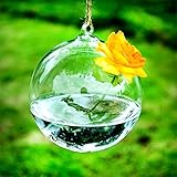 SHINA 2個セット 球形 ハンギング ガラス 花瓶 水栽培ポット 観葉植物 水耕栽培植物 ホームデコレーション