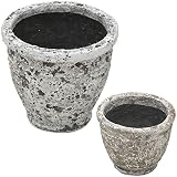 陶器植木鉢 フォレストポット 風花(かざばな) 大小セット 6.5号＆4.5号 154086MS-S24-SET