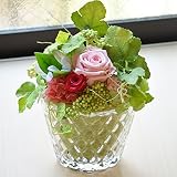 〔エルフルール〕涼しげなガラスの器を使用したプリザーブドフラワー クリアケース付 ブリザードフラワー 花 プレゼント