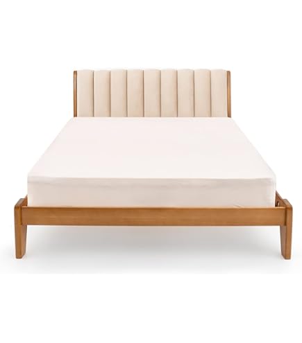 Amazon.co.jp: KADOKAWA あいりすミスティリア! 猫のように甘える