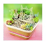 Seiei フェアリーガーデン ビギナーズセット