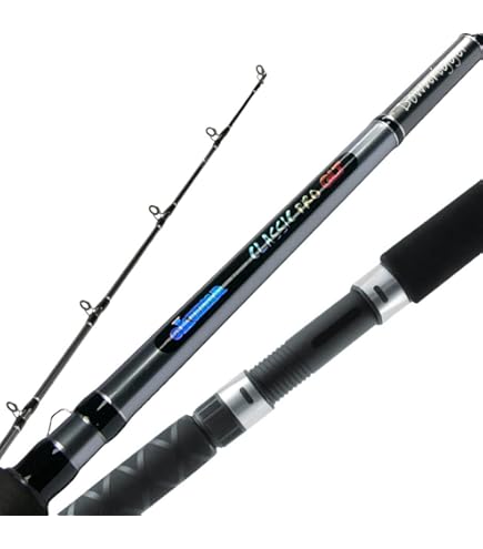DAIWA Crossbeat SW 666TUL Fishing Rod : Amazon.com.au: Sports