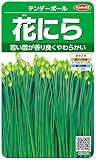サカタのタネ 実咲野菜3891 花にら テンダーポール 00923891