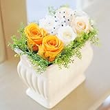 みずみずしい生花の風合を保つ花 エーデルワイス 【セレモニー1 オレンジミックス】 プリザーブドフラワー 枯れないお花