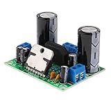 Dovewill TDA7293 デジタル　モノ　オーディオ　アンプボード　　単一チャネル　AC 12-32v 　20Hz - 20kHz　100W