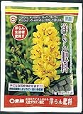 東商 洋らん肥料 1kg