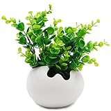 TOSSOW 陶器鉢 植木鉢 陶器 おしゃれ ミニ　卵形 植木鉢 可愛い オフィスや家庭の飾り　バレンタインデー クリスマス　新年 のプレゼント - 白い