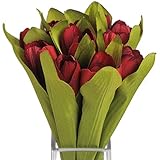 (ヒル・インテリアズ) Hill Interiors チューリップ 造花ブーケ 花束 アーティフィシャルフラワーバンチ イミテーションフラワー (ワンサイズ) (レッド/グリーン)