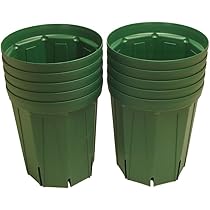 Amazon.co.jp: とんでもないポット（スリット鉢） 6号ロング モス