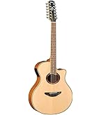 Amazon | Fender フェンダー エレアコギター CD-60SCE-12 NAT