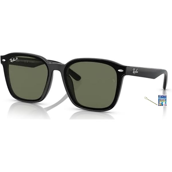 新品同様 Ray-Ban サングラス ORB4391D 偏光レンズ　グリーン Ray-Ban 偏光 サングラス RB4391D 601/9A ウェリントン レイバン