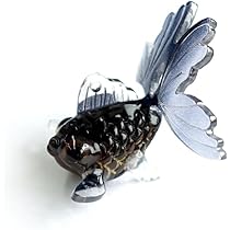 【プライズ品】金魚×9 メンダコ×3 オイルチャーム12個セット 41buqKck-SL._AC_SY200_QL15_.jpg