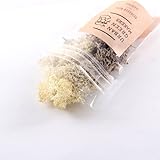 REINDEER MOSS　レインディアモス　UGMカスタムパーツ (NATURAL)