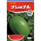 スイカ 種 【 ナショナル 】 種子 小袋（約7粒）