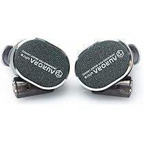 Amazon.co.jp: HiFiGo ROSE Technics Aurora Ultra 1 Planar +