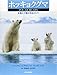 ホッキョクグマ: 生態と行動の完全ガイド