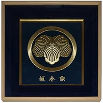 51jaVP4fw6L._AC_UL210_SR210,