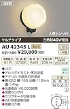コイズミ照明　アウトドアライト【AU42345L】