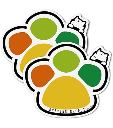 Amazon.co.jp: もみじマーク (旧)高齢者マーク （マグネット式2枚組