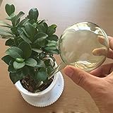 Lautechco 自動給水装置を散水ガラス球 花水遣りツール (80mm)