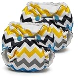 Lil Joey 2 Pack All-In-One Cloth Diaper, Charlie by Lil Joey [並行輸入品]