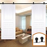 HomeDeco Hardware リビングドア 玄関 引き戸 リフォーム トラック上吊り式 現代風 装飾 diy 15 FT (4.60メートル) ダブルドア