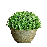 Miniホーム人工Boxwoodスパイラルツリー植物トピアリーツリーW Pots 6インチ