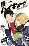 ハイキュー!! ショーセツバン!! VIII (JUMP j BOOKS)