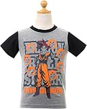 ドラゴンボール超 半袖Tシャツ【56b210】100cm グレー
