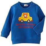 ホットビスケッツ(mikihouse hotbiscuits) ドライブビーンズ＆お花キャビットトレーナー 100cm ブルー（15）