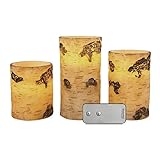 3ピースFlameless LED Birch Pillar Candle Set withワイヤレスリモート