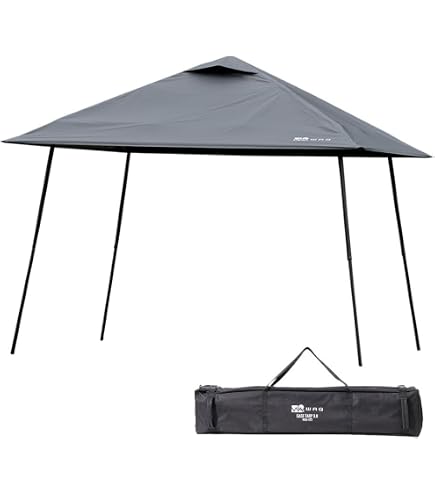 Amazon.co.jp: Coleman 2208931 Camping Tent Instant Visor Shade II