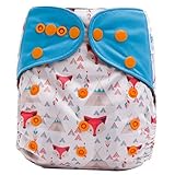 HappyEndings Charcoal /Bamboo /Organic Cotton /Micro Fleece AI2TM All-In-Two Cloth Diaper / Snap-in 