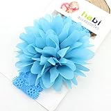 LexBlue（TM）トレンディ女の赤ちゃんヘッドバンドスウィートシフォン咲く花カチューシャヘアアクセサリーキッド幼児帽子子供のクリスマスギフト
