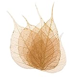 Fityle 5枚/10枚　乾燥植物　芸術創作　リンデン葉　乾燥花　標本花　カード作り　DIY携帯ケース　2セット選べ - ゴールド(5枚葉), 3.5 - 5 cm