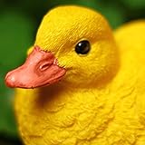 feileng　可愛いアヒルちゃん　ガーデンオーナメント 本物そっくりガーデン置物 お庭の置物　可愛い 動物､植物のガーデンオブジェ キュートなガーデニングインテリア室内 ガーデン 園芸置物